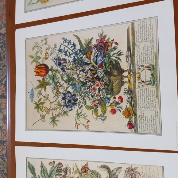 Flowers of the month prints, bundle of August February and October - Picture 4 of 13